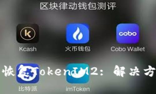 如何成功恢复TokenIM2: 解决方案与技巧