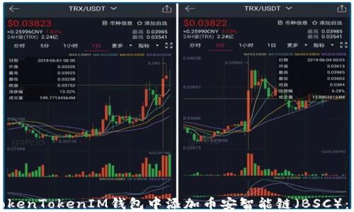
如何在TokenTokenIM钱包中添加币安智能链（BSC）：详细指南