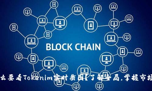 为什么要看Tokenim实时截图？了解全局，掌握市场动态