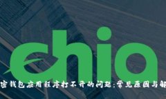 解决加密钱包应用程序打不开的问题：常见原因