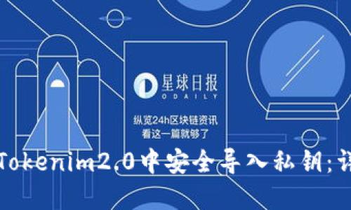 如何在Tokenim2.0中安全导入私钥：详尽指南