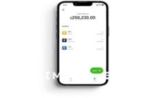 轻松掌握TokenTokenIM钱包：EOS映射两次的完整指南