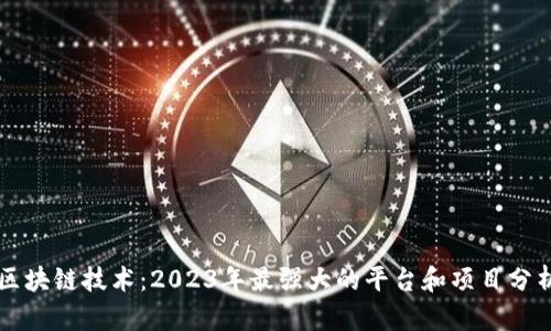 区块链技术：2023年最强大的平台和项目分析