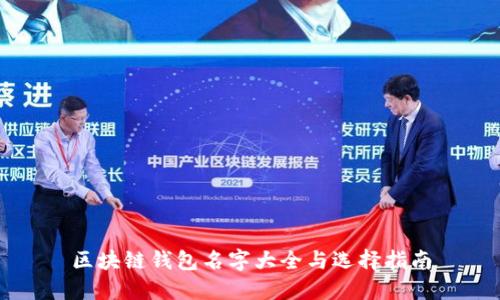 区块链钱包名字大全与选择指南