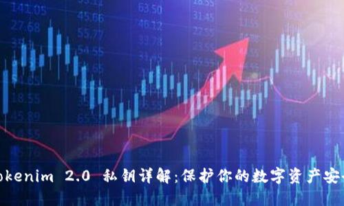 Tokenim 2.0 私钥详解：保护你的数字资产安全