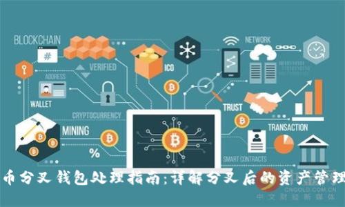 虚拟币分叉钱包处理指南：详解分叉后的资产管理策略