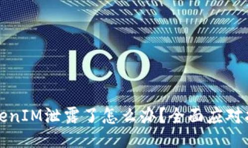 TokenIM泄露了怎么办？全面应对指南