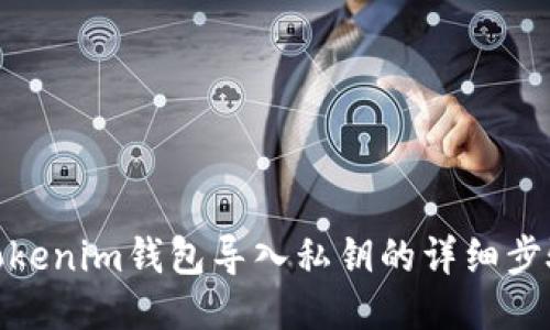 Tokenim钱包导入私钥的详细步骤