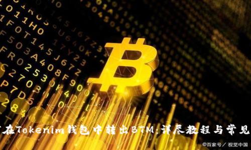 如何在Tokenim钱包中转出BTM：详尽教程与常见问题