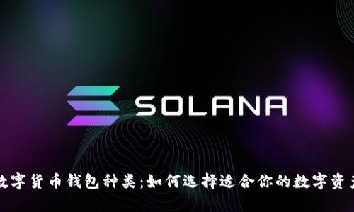 全面解析数字货币钱包种类：如何选择适合你的数字资产存储方式