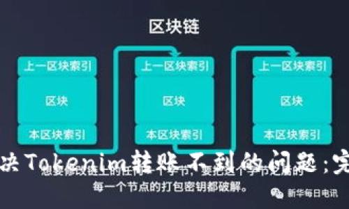 如何解决Tokenim转账不到的问题：完整指南