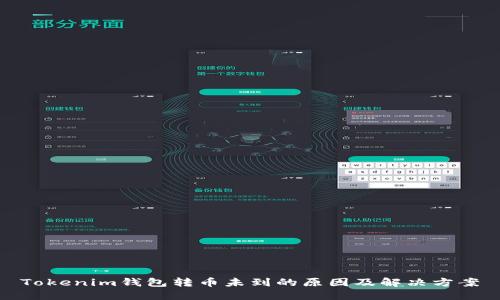 Tokenim钱包转币未到的原因及解决方案