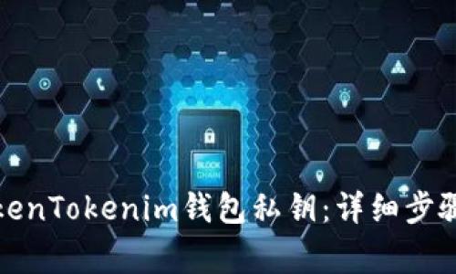 如何导入TokenTokenim钱包私钥：详细步骤与注意事项