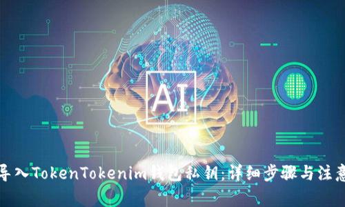 如何导入TokenTokenim钱包私钥：详细步骤与注意事项