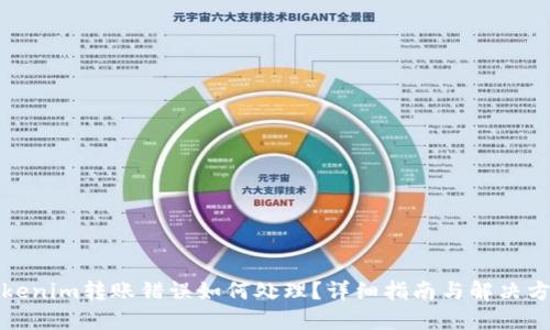 Tokenim转账错误如何处理？详细指南与解决方案