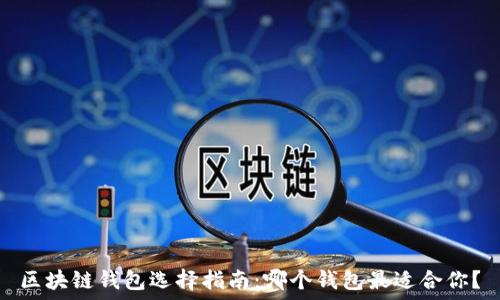   
区块链钱包选择指南：哪个钱包最适合你？