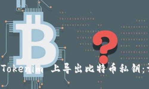 如何在 Tokenim 上导出比特币私钥：详细指南