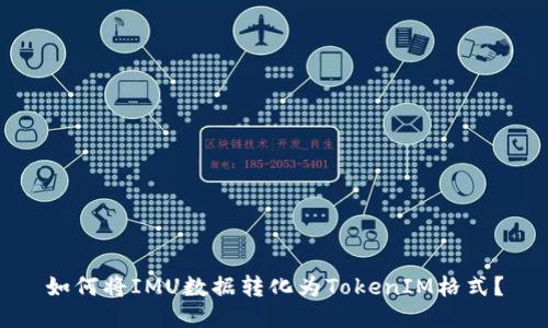 如何将IMU数据转化为TokenIM格式？