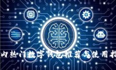 国内热门数字钱包推荐与使用指南