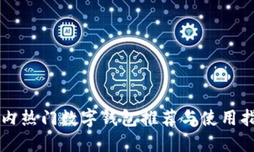 国内热门数字钱包推荐与使用指南