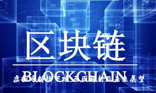 虚拟币持续下跌：原因解析及未来展望