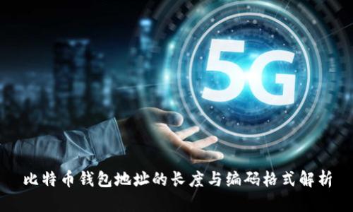 比特币钱包地址的长度与编码格式解析