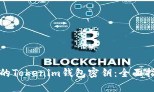 如何找回丢失的Tokenim钱包密钥：全面指南与解决方案