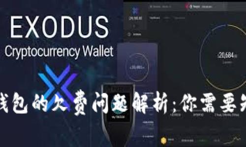 数字货币钱包的欠费问题解析：你需要知道的一切