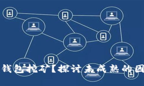 什么是虚拟币钱包挖矿？探讨未成熟的因素及未来发展