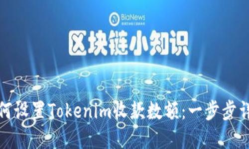 如何设置Tokenim收款数额：一步步详解