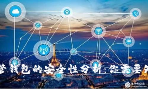 虚拟币托管钱包的安全性分析：你需要知道的一切