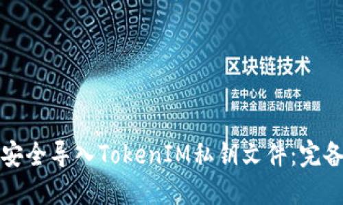 如何安全导入TokenIM私钥文件：完备指南