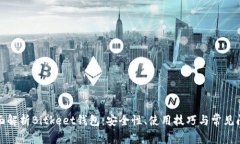 全面解析Bitkeet钱包：安全性、使用技巧与常见问