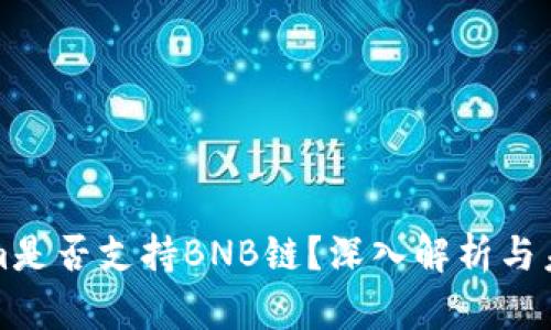 Tokenim是否支持BNB链？深入解析与未来展望