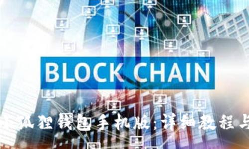 :
如何简单安装小狐狸钱包手机版：详细教程与常见问题解答