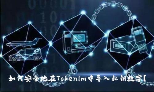 如何安全地在Tokenim中导入私钥数字？