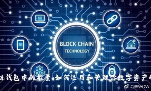 区块链钱包中的能量：如何运用和管理你数字资产的能量