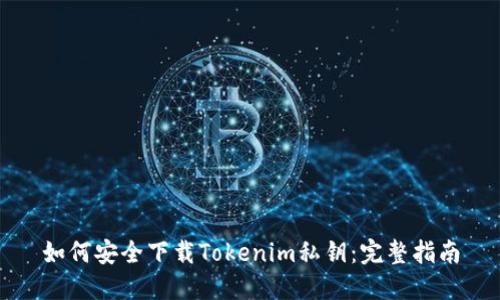 如何安全下载Tokenim私钥：完整指南