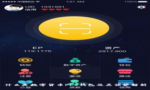 什么是数字货币PLS钱包及其优势解析