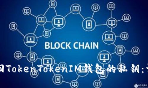 如何找回TokenTokenIM钱包的私钥：详细指南