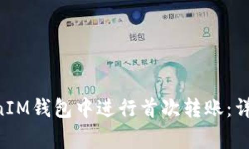 如何在TokenTokenIM钱包中进行首次转账:详细步骤与注意事项