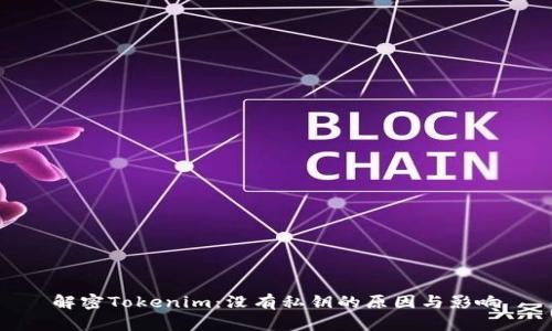 解密Tokenim：没有私钥的原因与影响
