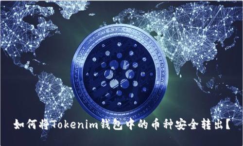 如何将Tokenim钱包中的币种安全转出？