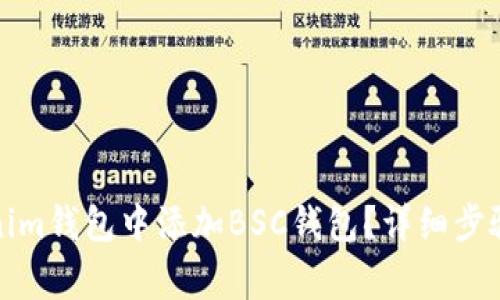 如何在Tokenim钱包中添加BSC钱包？详细步骤与注意事项