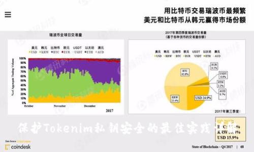 保护Tokenim私钥安全的最佳实践详解