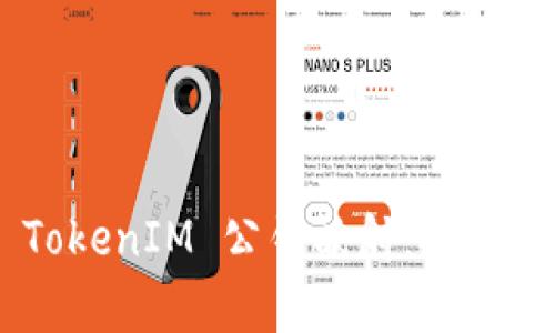 深入解析 TokenIM 公钥映射：安全、效率与应用