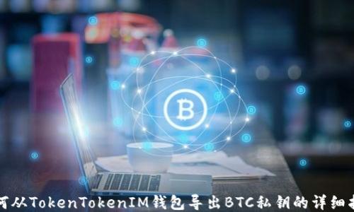 
如何从TokenTokenIM钱包导出BTC私钥的详细指南