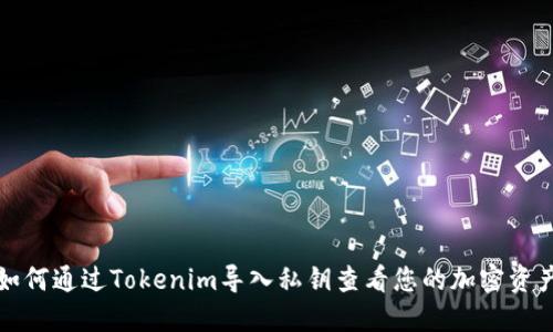 如何通过Tokenim导入私钥查看您的加密资产