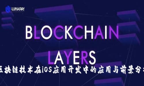 区块链技术在iOS应用开发中的应用与前景分析